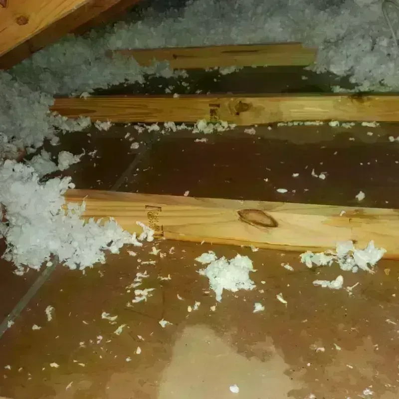 Attic Water Damage in China Grove, TX