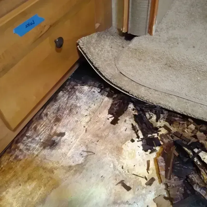 Best Wood Floor Water Damage Service in China Grove, TX